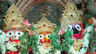 ଆମ ଘର ମାଉସୀ ବାଡ଼ି ଜଗନ୍ନାଥଙ୍କ 🙏 ଶେଷ ପୂଜା  ଆଜି ଜିବେ ଶ୍ରୀମନ୍ଦିର କୁ ସମସ୍ତଙ୍କ ମନ ଦୁଃଖ #tranding #vlog