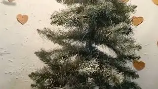 Перевоплощение🎄 Новогодней Ёлки!😉👍