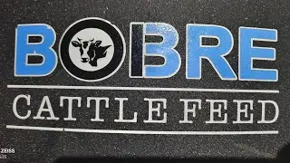 #bobrecattlefeed