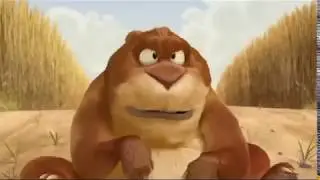 HD funny animal animation funny video