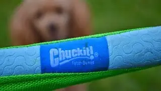 Chuckit! Amphibious Boomerang a kutyamania.hu-n