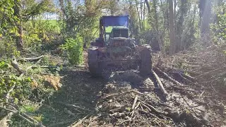 Aprem au bois avec Lolo et les chiens 🐕 🐕 Le Deutz dans la pente de l extrême #forestmen #forestmen