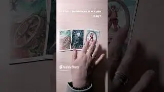 5 октября 2024 г.