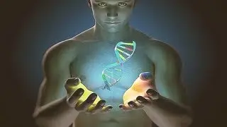 El Cuerpo Humano es una Maquina Perfecta?