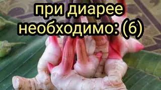 При диарее необходимо:6 Как лечить диарею (понос) Лекарственные травы и растения. Народная медицина.