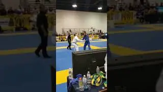 Ibjjf medium heavy masters 3 blue belt