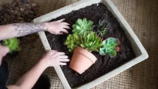 square pot
