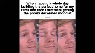 MEMES THAT MY KIDS SIMS WATCH