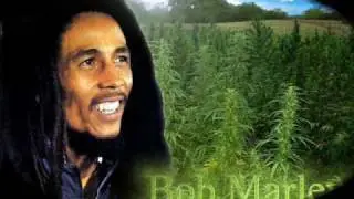 Bob Marley - Ganja Gun with lyrics