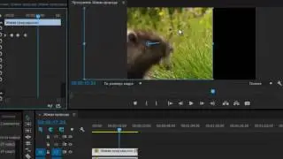 Как сделать движущееся видео Adobe Premiere Pro CC