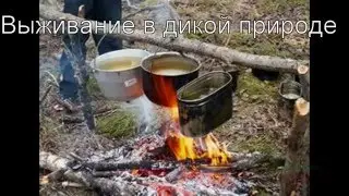 Выживание в зимнем лесу . Бушкрафт .