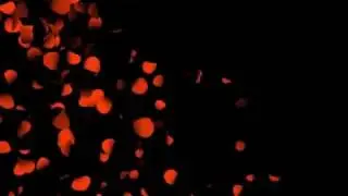 лепестки avi