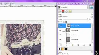 TUTORIAL GIMP: Creare una GIF animata con effetto POLAROID