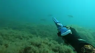 В поиске трофея.  Подводная охота в Крыму.