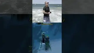Swifty Playing wow at the Beach! 