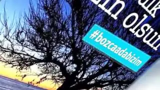 #bozcaadabizim