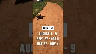 Everyone's coming to Medjugorje!