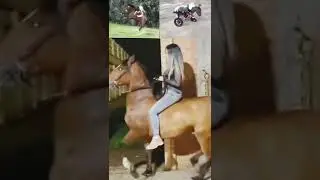 баба коня скоростного тормозит 🦄💎