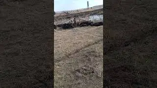 как Димас КАМАЗ ка-700  с болото достал?