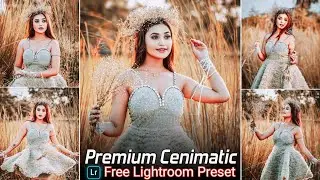Premium Cenimatic Tone Lightroom Presets Free Download