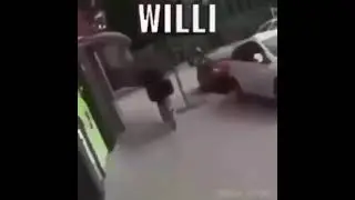 willi