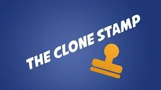 Using the Clone Stamp Tool in Adobe Photoshop CC