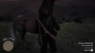 Red Dead Redemption 2 - its okay