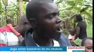 Jjajja aziise bazzukulu be mu nkukutu