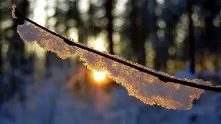 *** Winter Joy ***