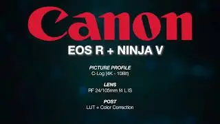 Canon EOS R + Ninja V 4K 10bit / CINEMATIC FOOTAGE