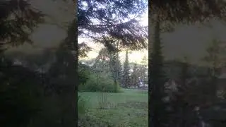 Притча о двух близнецах в материнской утробе. Автор Гельблинг Ольга