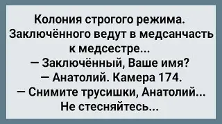Заключенный с Большим Хозяйством! Сборник Свежих Анекдотов! Юмор!