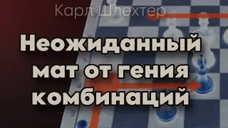 Шлехтер жертвует ферзя в Итальянской Партии