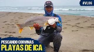 #Vlog