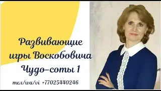 Развивающие игры Воскобовича Чудо-Соты1 своими руками