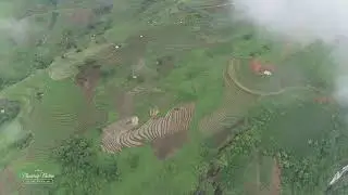 Dần Thàng 2018
