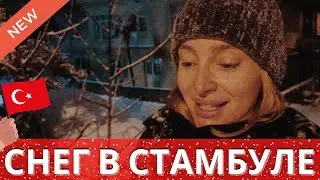 СТАМБУЛ ЗАВАЛИЛО СНЕГОМ ● АНОМАЛЬНАЯ СНЕЖНАЯ ЗИМА В ТУРЦИИ ● ЗИМА В СТАМБУЛЕ