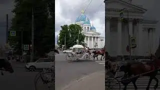 Кареты с лошадьми едут мимо храма // Петербург
