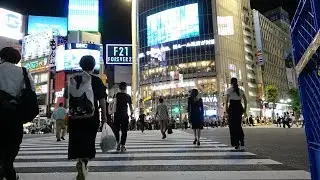 Shibuya. Tokyo night walking tour.