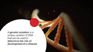TrichoTest™ Genetic Test for Alopecia