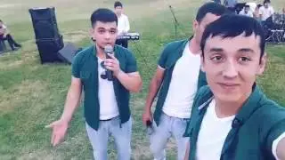 Diplamat jamoasi