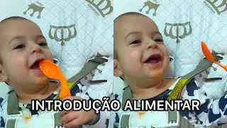 INTRODUÇÃO ALIMENTAR