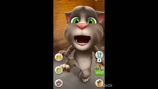 The little pretty cat 😺 best dancing 
