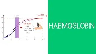 3.7 Respiratory: Haemoglobin
