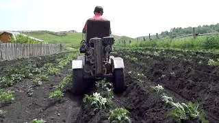 Погрузчик Холмогорец окучивает картошку.