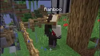 Ranboo Explains His Death (Dream SMP)