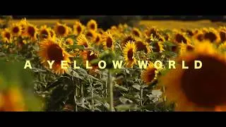 A YELLOW WORLD