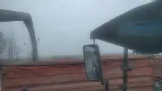 17 ноября. Уборка подсолнечника. Зима наступает.