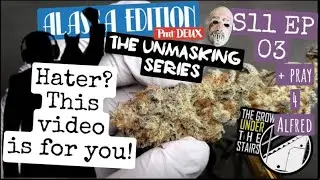 S11 EP03:  Flipping to Flower!  Verbal hater ass whooping and Alfreds recovery.  Spider Farmer LEDs