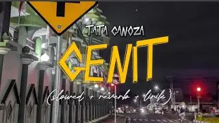 GENIT - TATA GANOZA (slowed+reverb+lirik) | Overlay vibes